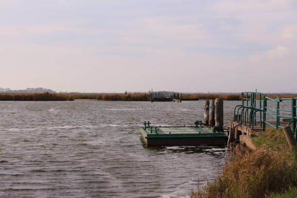 istock Peace and idyll in the Bodden landscape near Zingst 1288895616