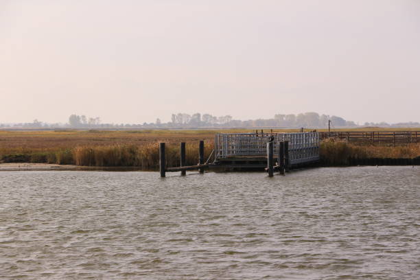 istock Peace and idyll in the Bodden landscape near Zingst 1288895790