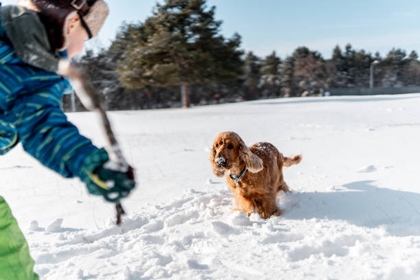 istock Young boy playing with his dog on snow in nature 1288895877