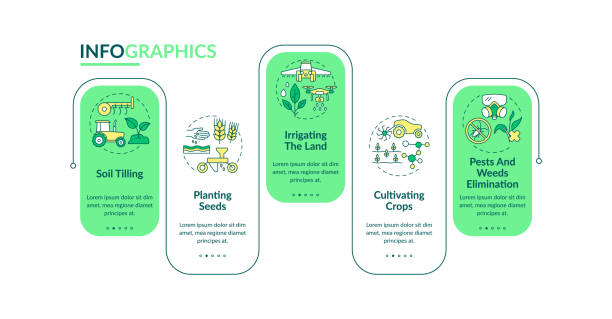 ilustrações, clipart, desenhos animados e ícones de máquinas agrícolas tarefas modelo de infográfico vetorial - quinta orgânica