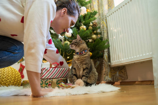 istock Christmas celebration with my best friend, my cat 1288899244