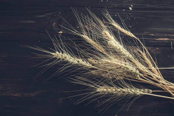 istock wheat spike on the wooden table 1288900518