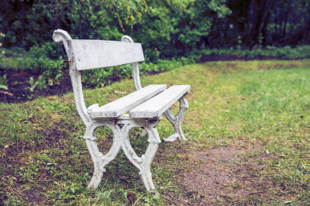 istock Lonely Chair in the Garden 1288902866