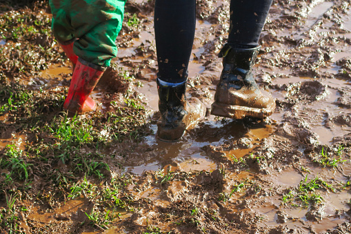 Stock photo showing people splashing through a muddy farm field in wellies. The picture shows various deep tyre tracks and footprints leading into the field, which have filled up with rainwater following a heavy rain shower, forming deep puddles
