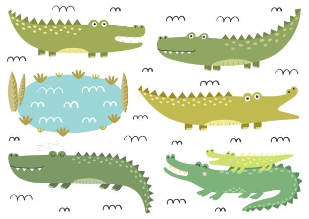 Funny crocodiles collection. Cute alligators in childish style. Safari characters Funny crocodiles collection. Cute alligators in childish style. Safari characters. Isolated elements collection. Vector illustration crocodile stock illustrations