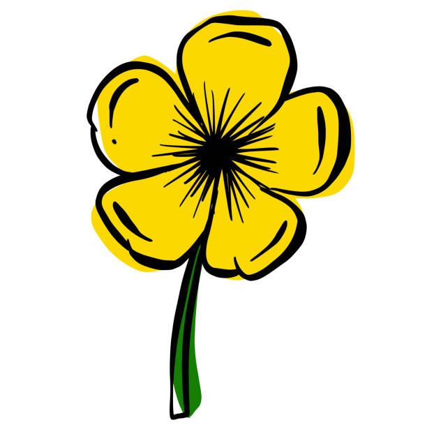 A Logo Design Of a Wildflower Flower Icon Buttercup, Daisy, Dandelion, Etc vector art illustration