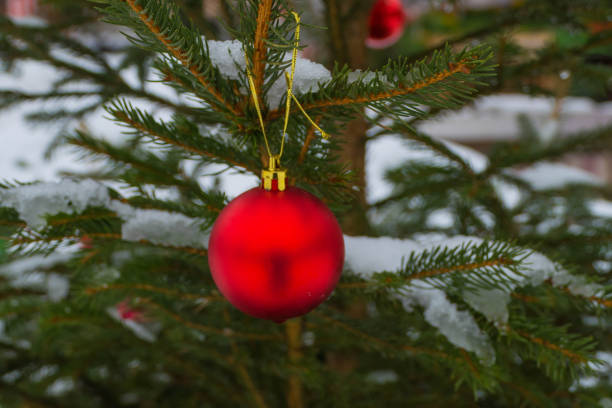 istock Christmas Ball on Fir Tree 1288906531