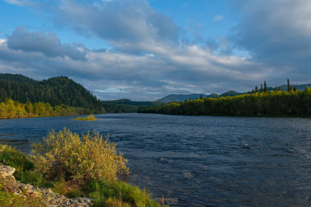 istock Sunny evening on the Biya river 1288907345