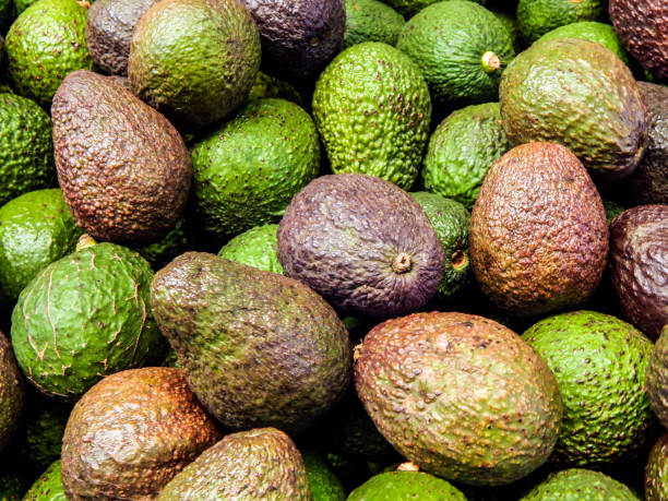 istock Group of stacked avocados 1288907417
