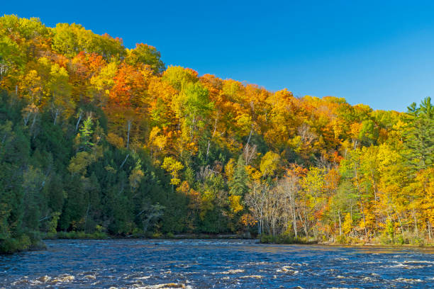 istock Fall Colors Above a North Woods River 1288908390