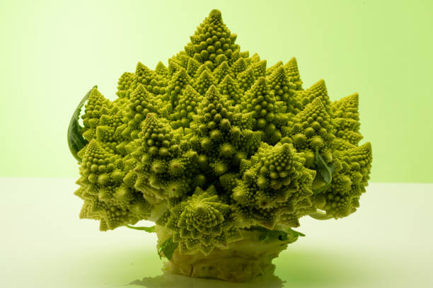 istock cauliflower, broccoli, vegetarian food, 1288908409