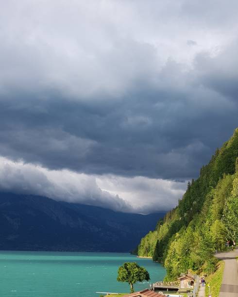 a tempestade está chegando. - switzerland forest storm summer - fotografias e filmes do acervo