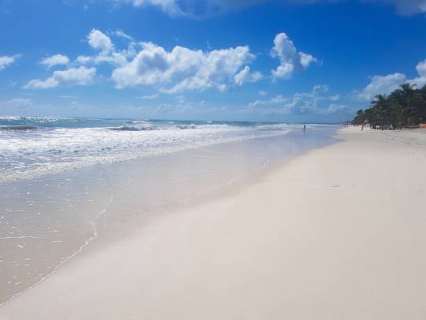 istock Morning in Caribbean Paradise 1288909587