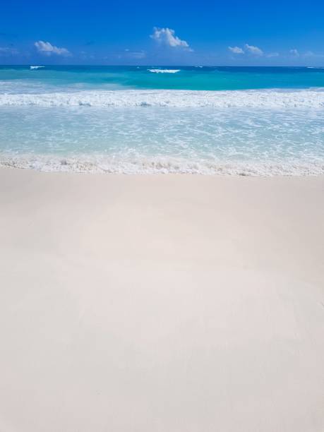 istock Morning in Caribbean Paradise 1288909623