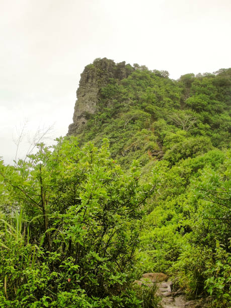 istock Sleeping Giant trail in Wailua Kauai 1288910161