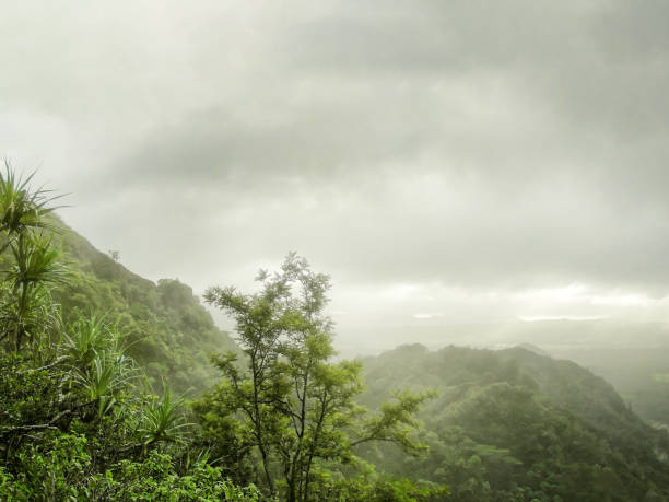 istock Sleeping Giant trail in Wailua Kauai 1288910175