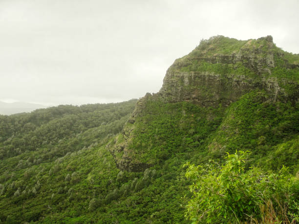 istock Sleeping Giant trail in Wailua Kauai 1288910263
