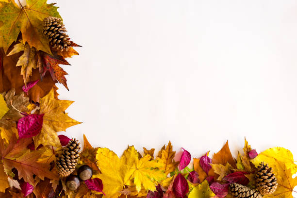 istock Beautiful colors of autumn 1288910352