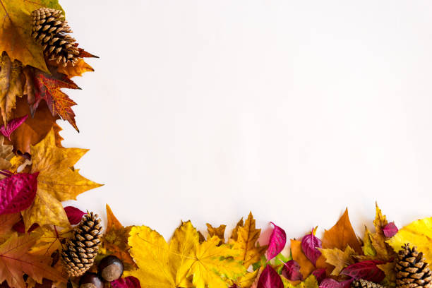 istock Beautiful colors of autumn 1288910376