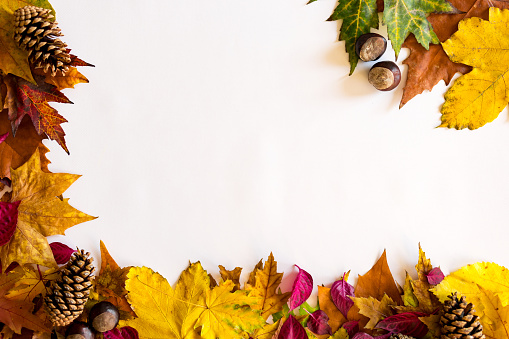 Autumn composition. Pattern made of dried leaves and other design accessories on table. Flat lay, top view.