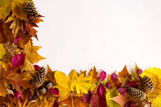 istock Beautiful colors of autumn 1288910393