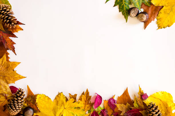 istock Beautiful colors of autumn 1288910424