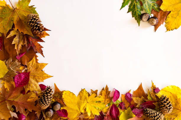 istock Beautiful colors of autumn 1288910425