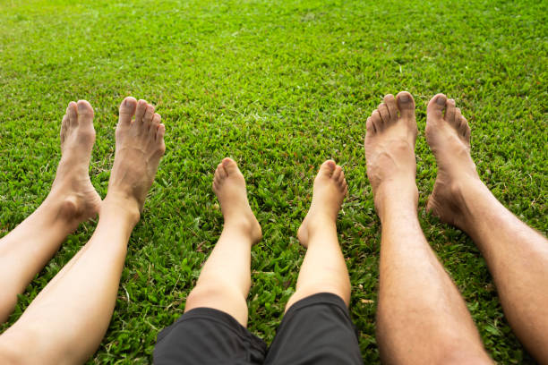 istock Family relaxing in the field 1288911265