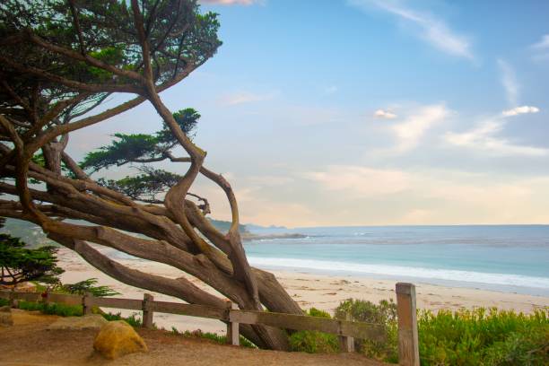 istock Beach Scene in Morning-Carmel,  California 1288915502
