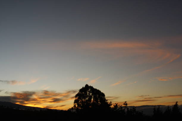 istock Sunrise in the countryside 1288915630