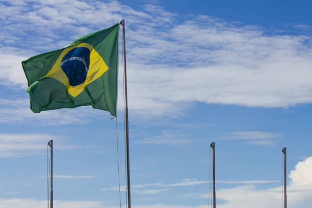 istock Brazil national flag 1288915793