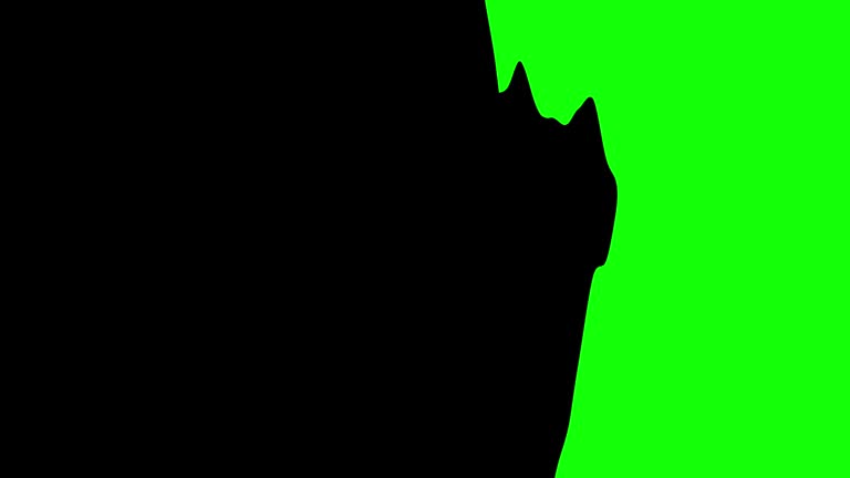 Paintbrush transitions. For chroma key compositing. Each animation lasts 1 second.