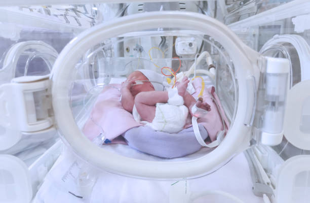 bebé prematuro en nicu - premature fotografías e imágenes de stock