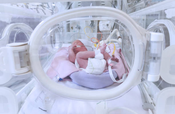 premature baby in nicu - hospital nursery imagens e fotografias de stock