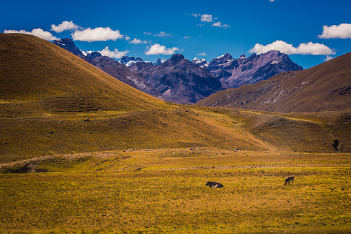 Dramatic Valley of Carpa - Cordillera Blanca - Ancash peruvian Caullaraju Andes, Peru