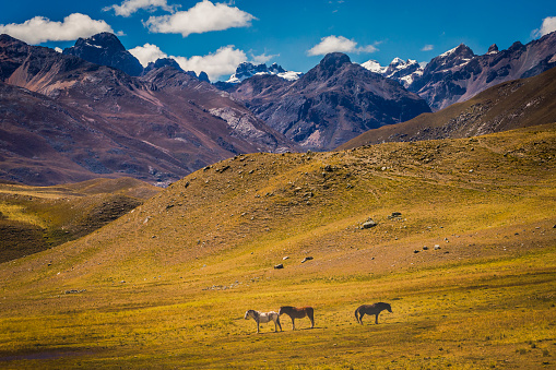Dramatic Valley of Carpa - Cordillera Blanca - Ancash peruvian Caullaraju Andes, Peru