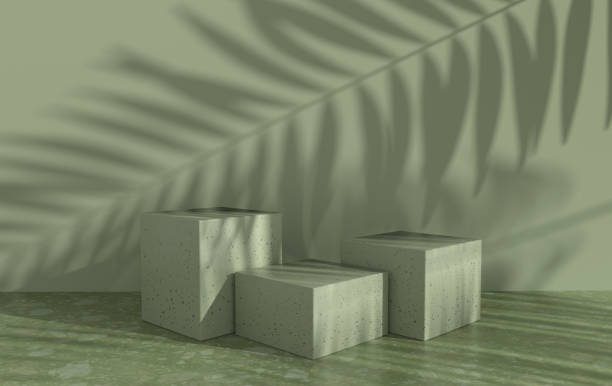 istock 3d rendered studio with geometric shapes, podium on the floor. Platforms for product presentation, mock up background. Abstract composition in minimal design, tropic palm leaves shadow 1288925187