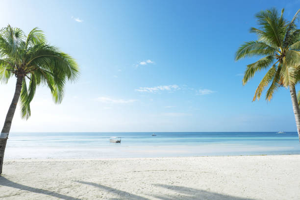 istock Tropical paradise beach with coconut palm trees copy space scene 1288926860