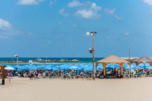 muitos turistas passam suas férias e muitos guarda-chuvas na praia de tel aviv, israel no verão. - israel tel aviv skyscraper seascape - fotografias e filmes do acervo