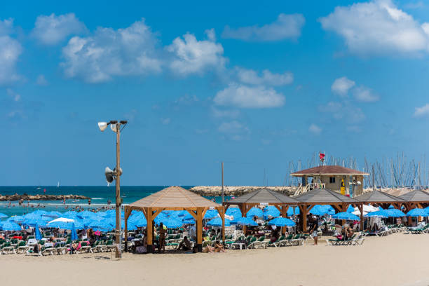 muitos turistas passam suas férias e muitos guarda-chuvas na praia de tel aviv, israel no verão. - israel tel aviv skyscraper seascape - fotografias e filmes do acervo