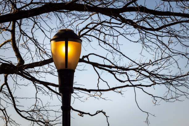 istock New York City Lantern 1288928611