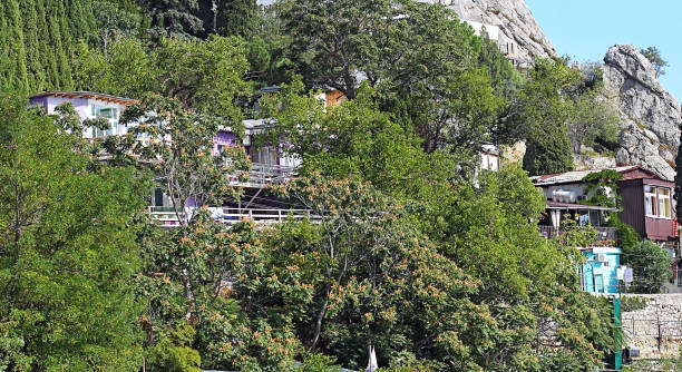 istock Summer houses among plants 1288934913