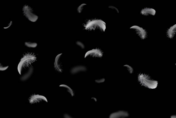 istock Group of light fluffy a white feathers floating in the dark. black background. 1288938599