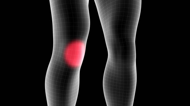 3d illustration of a men xray hologram showing pain area on the leg area stock photo