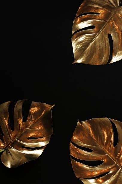 istock Gold leaves frame isolated on a black background  top view. Gold monstera leaf with copy space. abstract poster. 1288942644