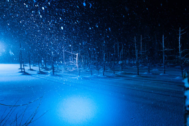 istock hokkaido night view with slighting snow 1288946074