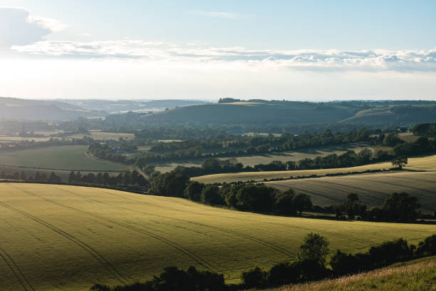 South Downs National Park, United Kingdom South Downs National Park, United Kingdom in Petersfield, England, United Kingdom petersfield stock pictures, royalty-free photos & images