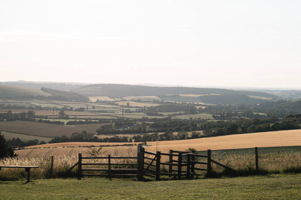 Sunset view from Butser Hill looking west Sunset view from Butser Hill looking west in Petersfield, England, United Kingdom petersfield stock pictures, royalty-free photos & images