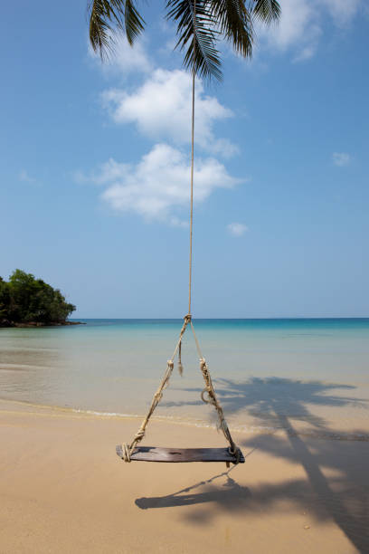 istock Swing at a beach hanging of coconut palm tree 1288946307
