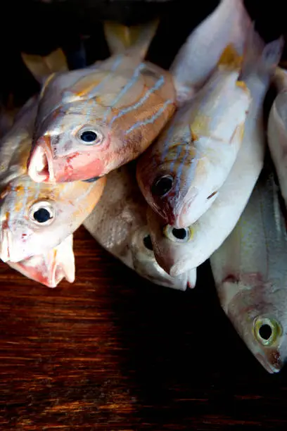 Photo of freshly caught tropical fish on market